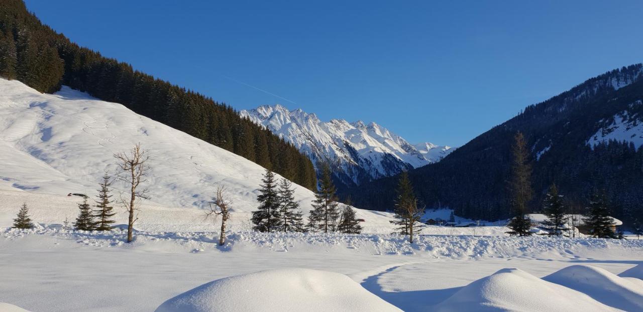 Alpenrose Hotel-Garni ゲルロス エクステリア 写真